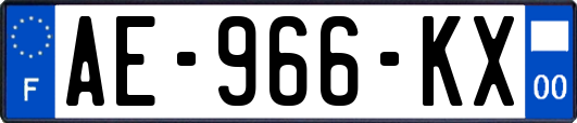 AE-966-KX