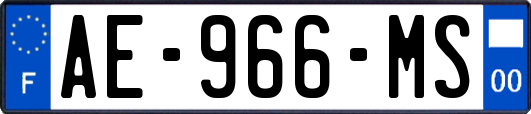 AE-966-MS