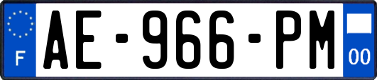 AE-966-PM