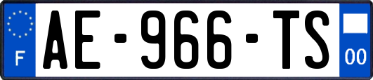 AE-966-TS