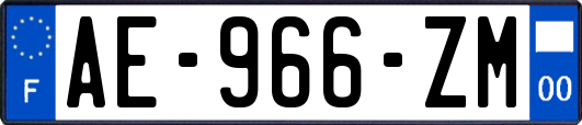 AE-966-ZM