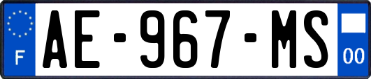 AE-967-MS