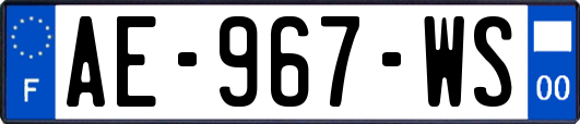 AE-967-WS