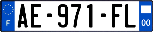 AE-971-FL