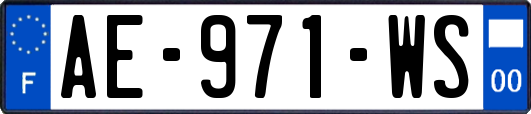 AE-971-WS