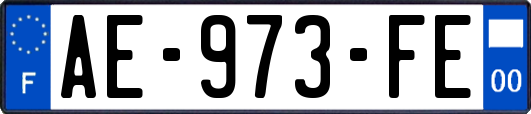 AE-973-FE