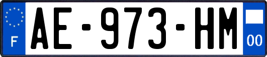 AE-973-HM