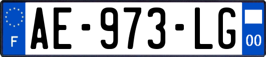 AE-973-LG