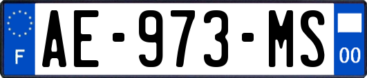 AE-973-MS