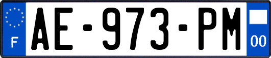 AE-973-PM