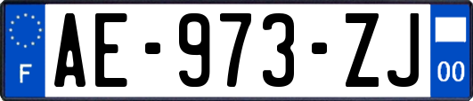 AE-973-ZJ