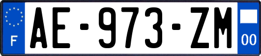 AE-973-ZM