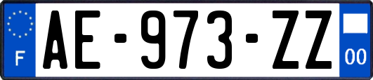 AE-973-ZZ