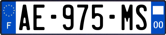 AE-975-MS