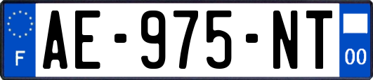 AE-975-NT