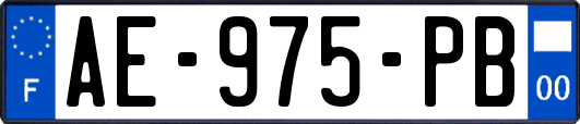 AE-975-PB