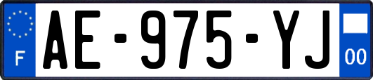AE-975-YJ