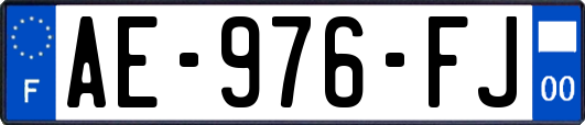 AE-976-FJ