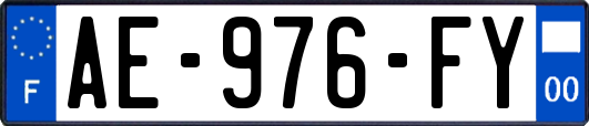 AE-976-FY