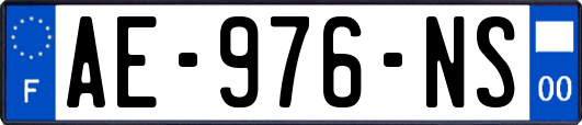 AE-976-NS