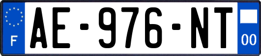 AE-976-NT