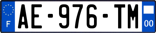 AE-976-TM