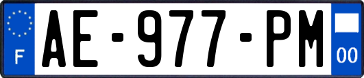 AE-977-PM