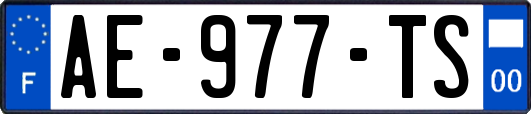 AE-977-TS