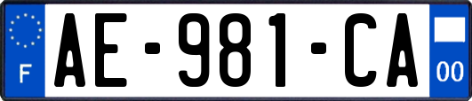 AE-981-CA