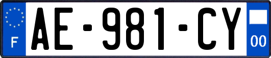 AE-981-CY