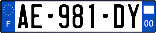 AE-981-DY