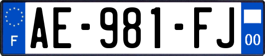 AE-981-FJ