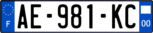 AE-981-KC