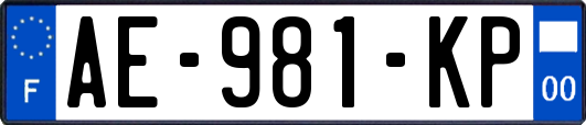 AE-981-KP