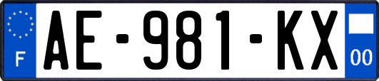 AE-981-KX