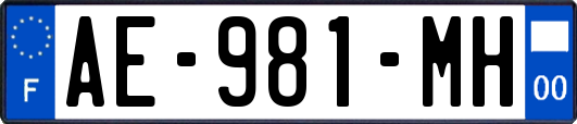 AE-981-MH