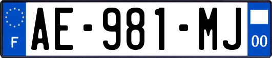 AE-981-MJ