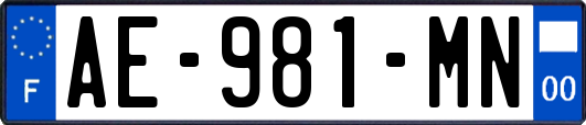 AE-981-MN