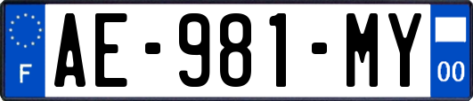 AE-981-MY