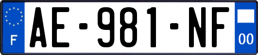 AE-981-NF