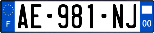 AE-981-NJ