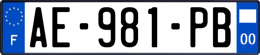 AE-981-PB