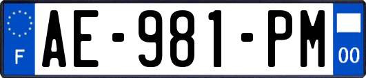 AE-981-PM