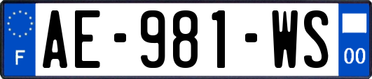 AE-981-WS