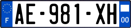 AE-981-XH
