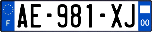 AE-981-XJ