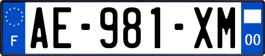 AE-981-XM