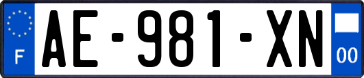 AE-981-XN