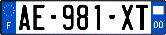 AE-981-XT