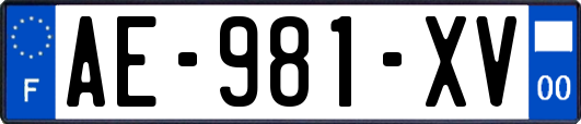 AE-981-XV